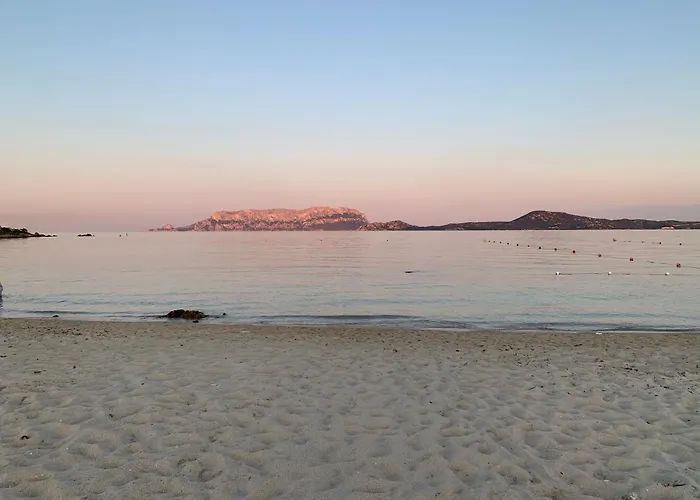 Il Salice Gasthof Olbia