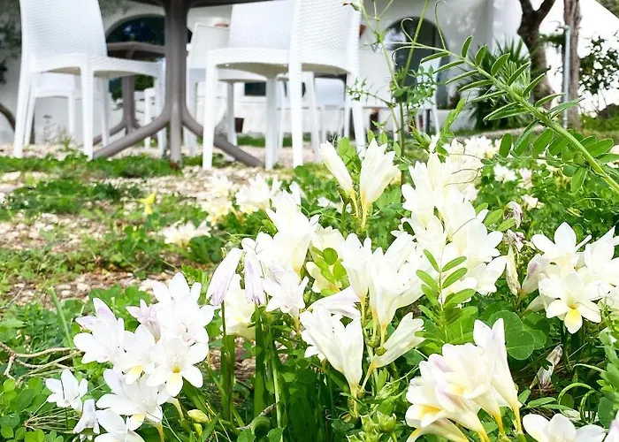 Maison d'hôtes Il Salice 3*